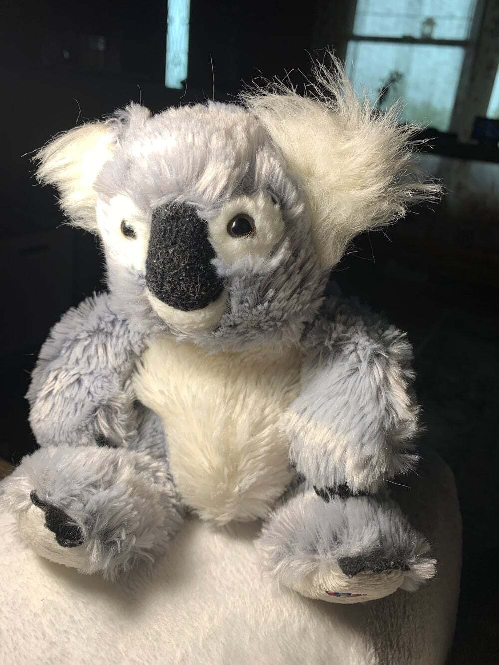 Koala Bear GANZ